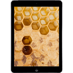 iPad® Air 16GB - Black (Refurbished by EB Games) (preowned)