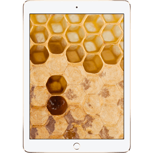 iPad® Air 2 128GB - Gold (Refurbished by EB Games) (preowned)