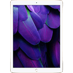 iPad® Pro 12.9-inch (2017) 512GB 3G - Gold (Refurbished by EB Games) (preowned)