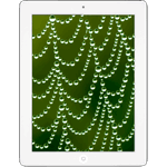 iPad® 2 16GB - White (Refurbished by EB Games) (preowned)