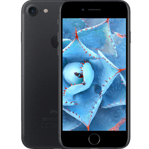 iPhone® 7 256GB - Black (Refurbished by EB Games) (preowned)