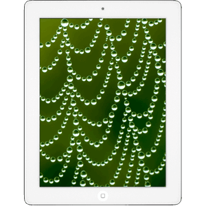 iPad® with Retina Display 32GB - White (Refurbished by EB Games) (preowned)