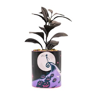Disney - The Nightmare Before Christmas - Jack Skellington Spiral Peak Plant Pot (with Plant)
