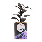 Disney - The Nightmare Before Christmas - Jack Skellington Spiral Peak Plant Pot (with Plant) - Packshot 1