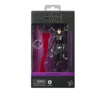 Star Wars - The Black Series - Seventh Sister Inquisitor Action Figure - Packshot 4