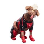 Marvel - Deadpool & Wolverine - Dogpool & Deadpool Marvel Legends Action Figure - Packshot 3