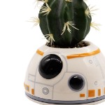 Star Wars - BB8 Plant & Planter - Packshot 3