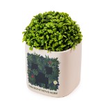 Minecraft - Creeper Photosynthesis Mode Planter - Packshot 2