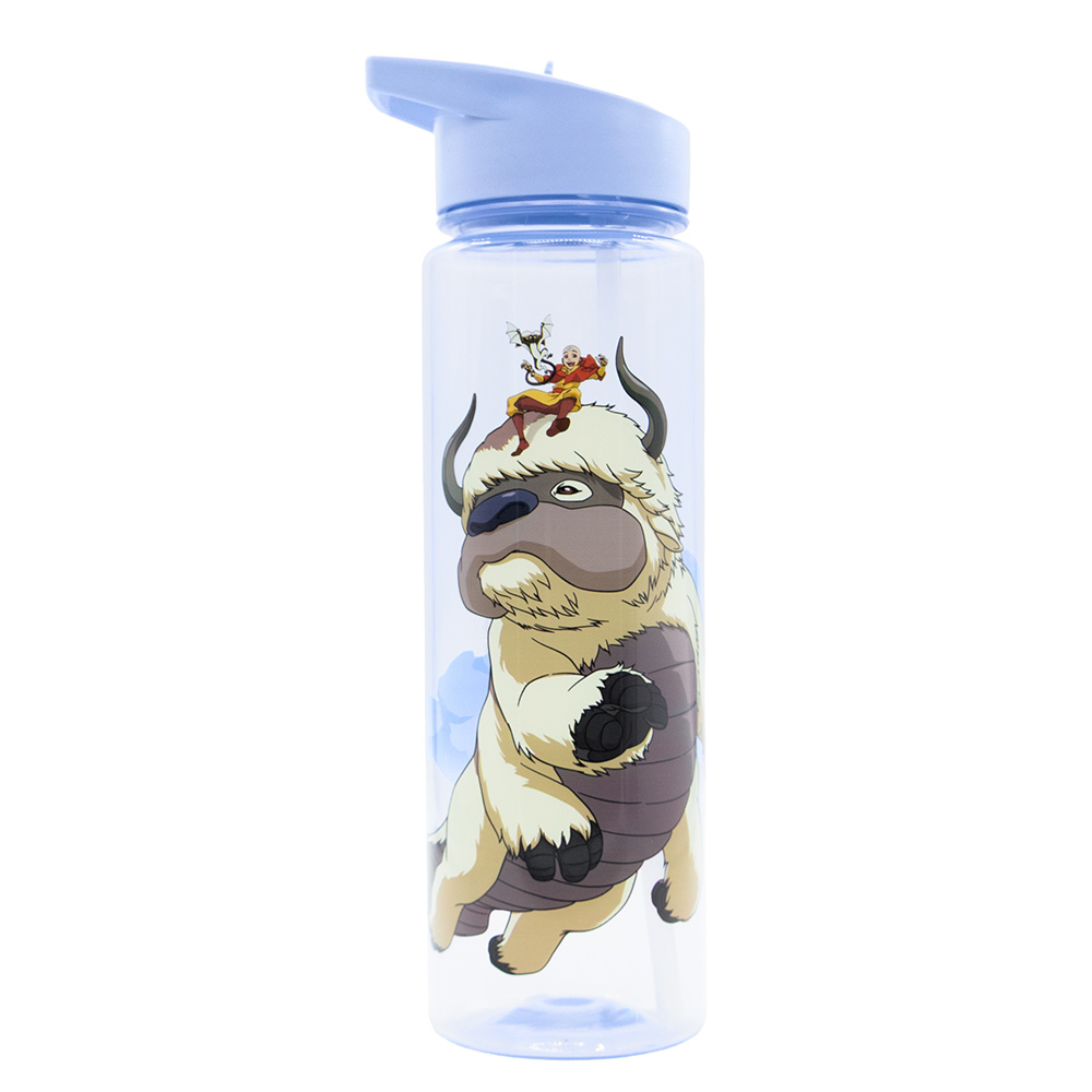 Avatar: The Last Airbender - Aang & Momo on Appa Drink Bottle - Packshot 1