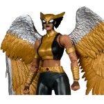 DC Comics - Hawkgirl (Kendra Saunders) Edition #63 Deluxe Action Figure - Packshot 5
