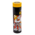 DC X Sonic the Hedgehog - Tails & Cyborg Metal Bottle - Packshot 3
