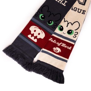 How to Train Your Dragon - Dragon League Scarf