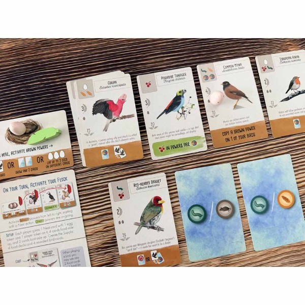 Wingspan Pocket - Packshot 3