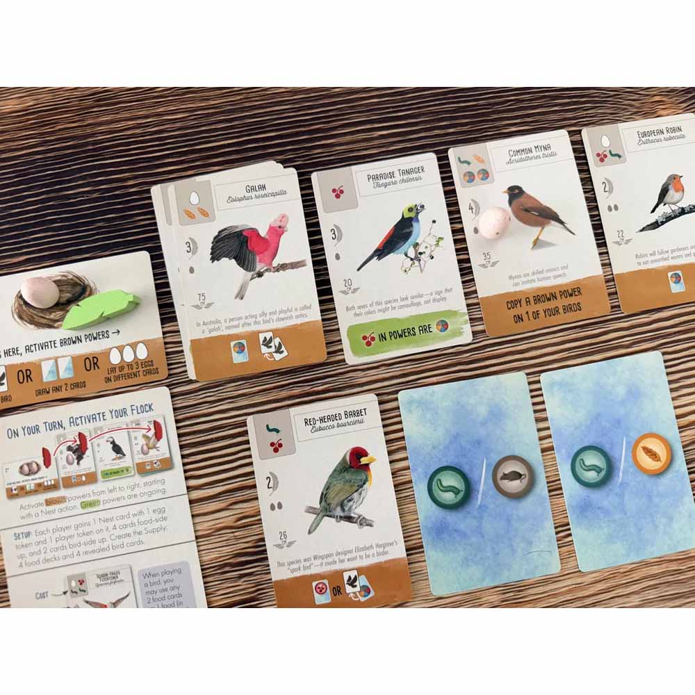 Wingspan Pocket - Packshot 3