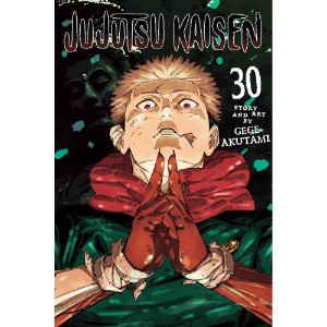 Jujutsu Kaisen Vol. 30