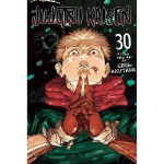 Jujutsu Kaisen Vol. 30