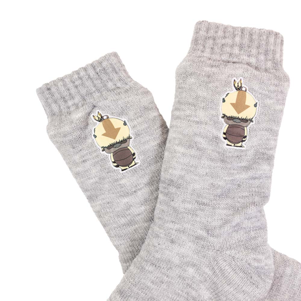 Avatar: The Last Airbender - Appa and Momo Fleece Socks - Packshot 2