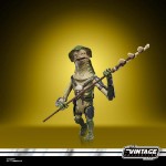 Star Wars - The Mandalorian and Grogu - The Vintage Collection - Amani Guard Action Figure - Packshot 5