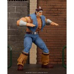 Ultra Street Fighter II - The Final Challengers T.Hawk Action Figure - Packshot 5