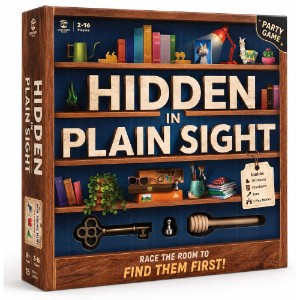 Hidden In Plain Sight