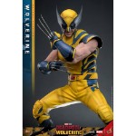 Marvel - Deadpool & Wolverine - Wolverine Deluxe 1/6 Scale Figure - Packshot 3
