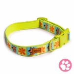 Scooby Doo - Classic Scooby Pet Collar - Packshot 1