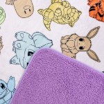 Pokemon - Kanto Region Blanket - Packshot 2