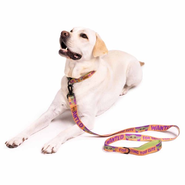 Star Wars - The Mandalorian - Grogu Wanted Pet Lead - Packshot 3