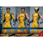Marvel - Deadpool & Wolverine - Wolverine Deluxe 1/6 Scale Figure - Packshot 6