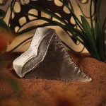 Jaws (50th Anniversary) - Shark Tooth Replica - Packshot 4