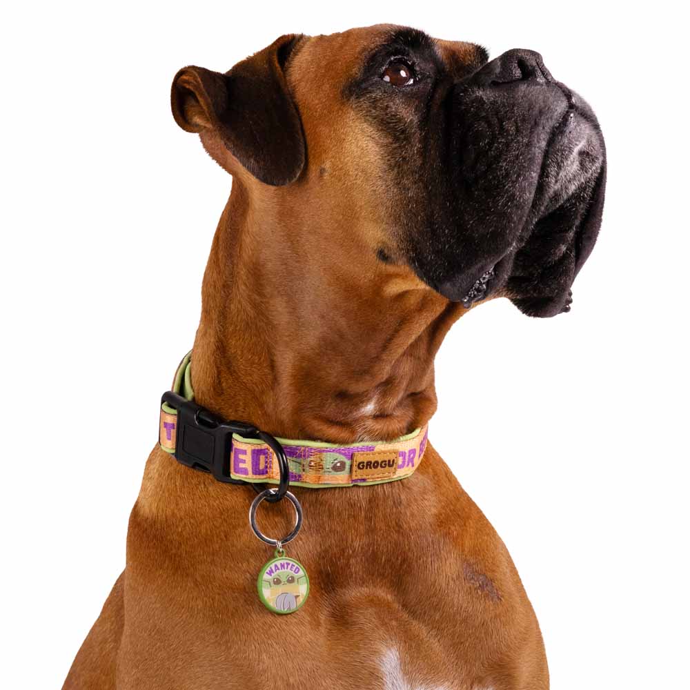 Star Wars - The Mandalorian - Grogu Wanted Pet Collar - Packshot 3