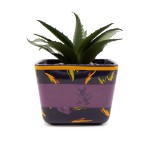 Spyro the Dragon - Spyro Plant & Planter - Packshot 2