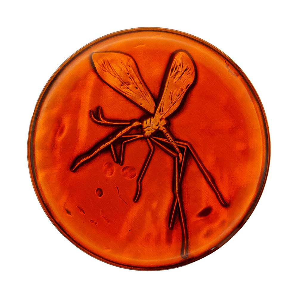 Jurassic Park - Medallion and Pin Set - Packshot 3