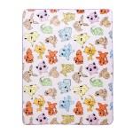 Pokemon - Kanto Region Blanket - Packshot 1