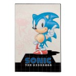 Sonic the Hedgehog - Limited Edition Sonic Ingot