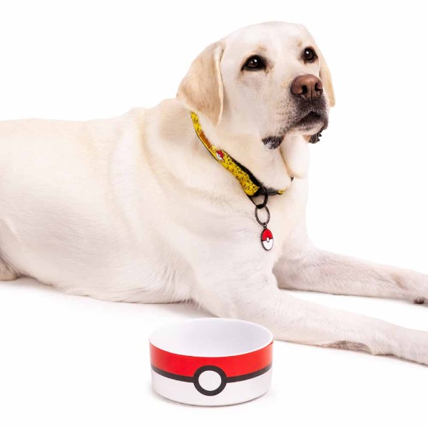 Pokemon - Pokeball Ceramic Pet Bowl - Packshot 3