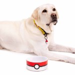 Pokemon - Pokeball Ceramic Pet Bowl - Packshot 3