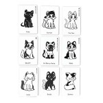 Cat Spotting Card Game - Packshot 3