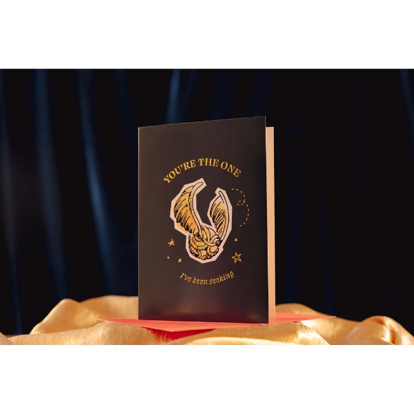 Harry Potter - Golden Snitch Valentines Greeting Card - Packshot 3