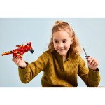 Harry Potter - LEGO Fawkes: Dumbledore's Phoenix 76448 - Packshot 6