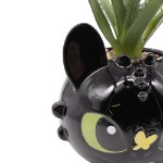 How To Train Your Dragon - Toothless Plant & Planter - Packshot 2