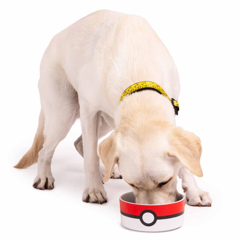 Pokemon - Pokeball Ceramic Pet Bowl - Packshot 4