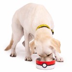 Pokemon - Pokeball Ceramic Pet Bowl - Packshot 4