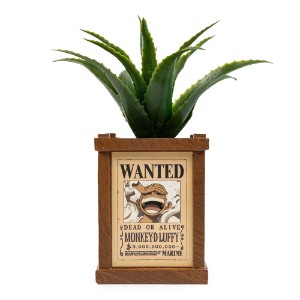 One Piece - Wanted Posters Plant & Planter