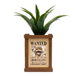 One Piece - Wanted Posters Plant & Planter - Packshot 1