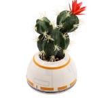 Star Wars - BB8 Plant & Planter - Packshot 2