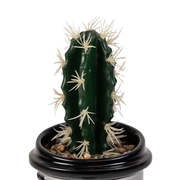 Star Wars - Lightsaber Plant & Planter - Packshot 3