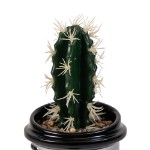 Star Wars - Lightsaber Plant & Planter - Packshot 3