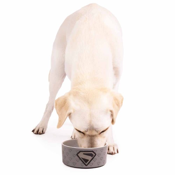 DC Comics - Superman - Monochrome Ceramic Pet Bowl - Packshot 3