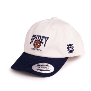 Marvel - Spider-Man - Amazing Since '62 Youth Dad Cap by Flexfit Yupoong